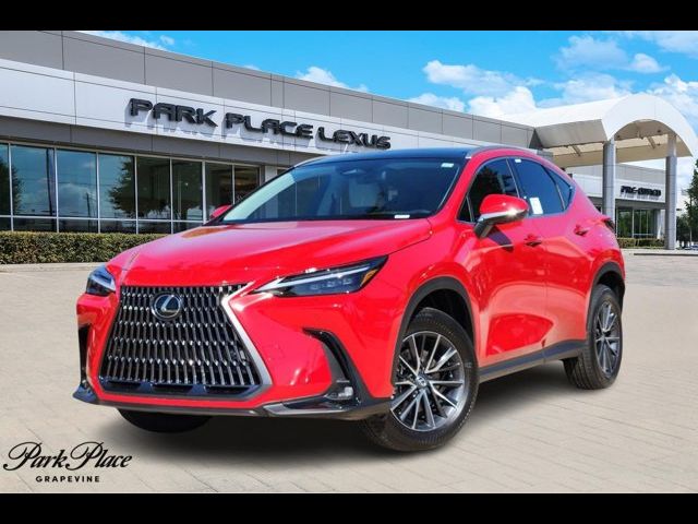 2025 Lexus NX 350 Luxury