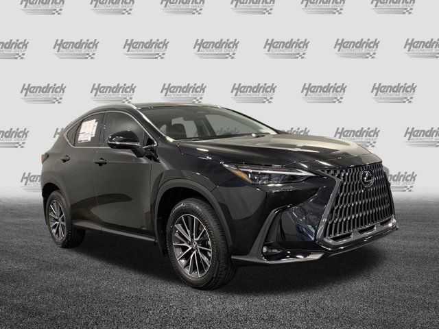 2025 Lexus NX 350 Luxury