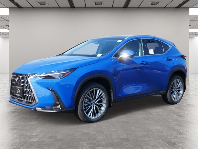 2025 Lexus NX 350 Luxury