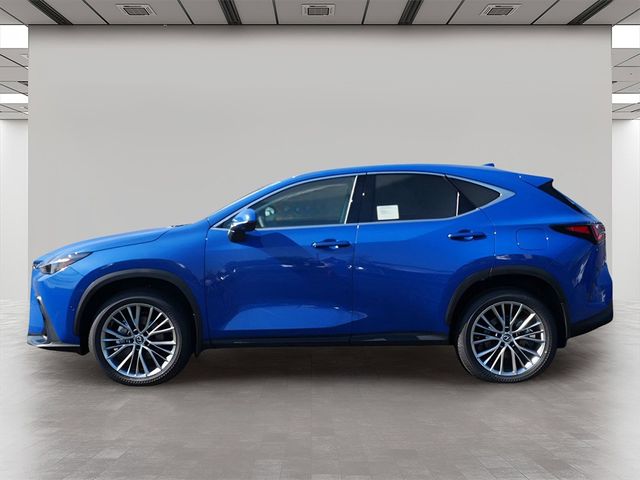 2025 Lexus NX 350 Luxury