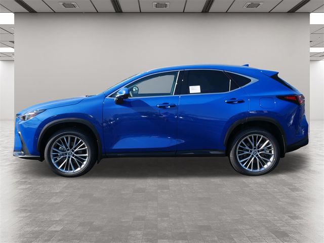 2025 Lexus NX 350 Luxury