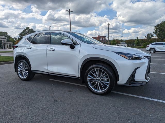 2025 Lexus NX 350 Luxury