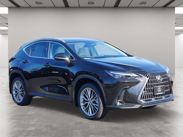 2025 Lexus NX 350 Luxury