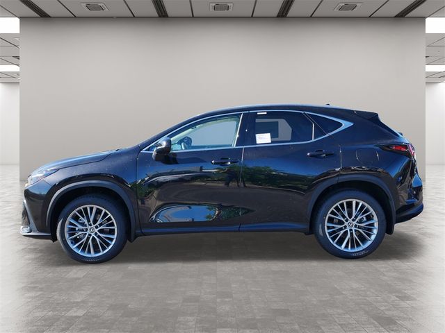 2025 Lexus NX 350 Luxury