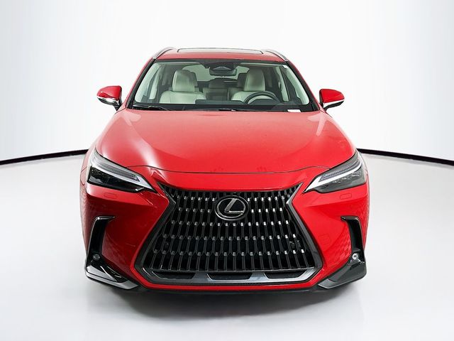 2025 Lexus NX 350 Luxury