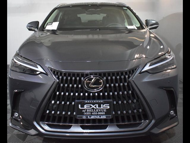 2025 Lexus NX 350 Luxury