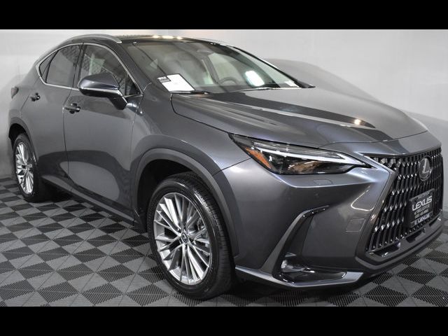 2025 Lexus NX 350 Luxury