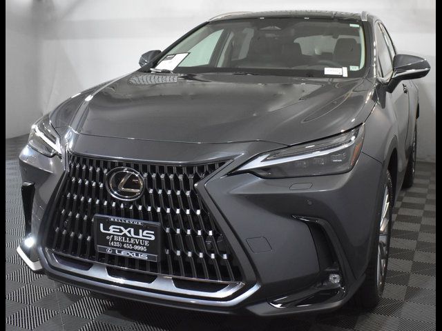 2025 Lexus NX 350 Luxury