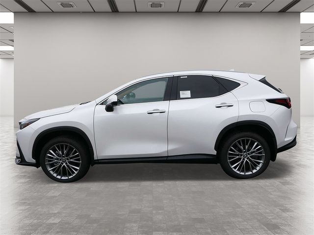 2025 Lexus NX 350 Luxury