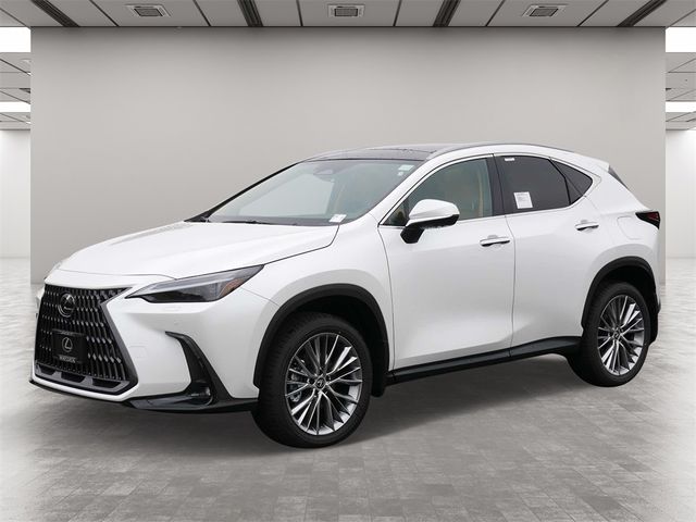 2025 Lexus NX 350 Luxury