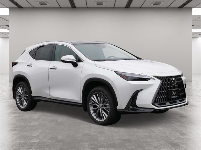 2025 Lexus NX 350 Luxury