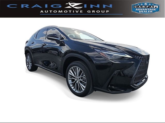 2025 Lexus NX 350 Luxury