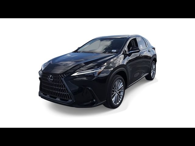 2025 Lexus NX 350 Luxury