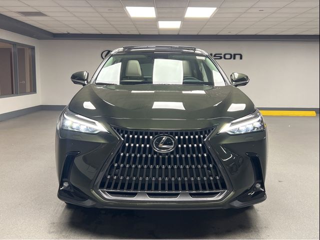 2025 Lexus NX 350 Luxury