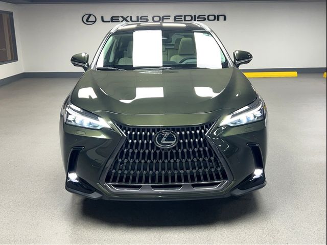 2025 Lexus NX 350 Luxury