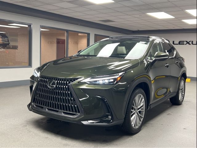 2025 Lexus NX 350 Luxury