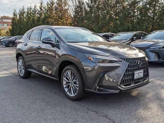 2025 Lexus NX 350 Luxury