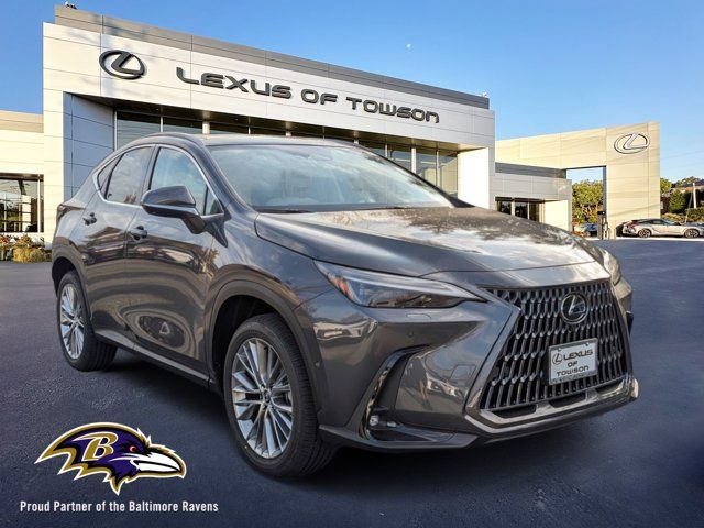 2025 Lexus NX 350 Luxury