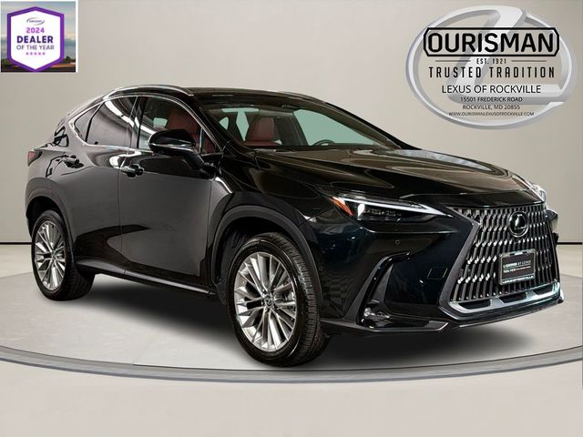 2025 Lexus NX 350 Luxury