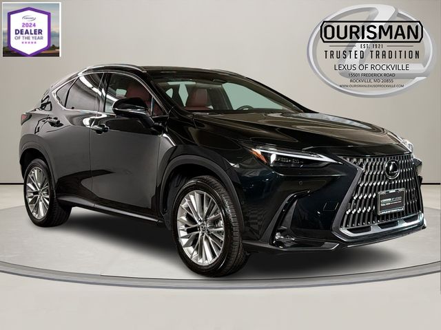 2025 Lexus NX 350 Luxury
