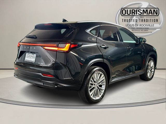 2025 Lexus NX 350 Luxury