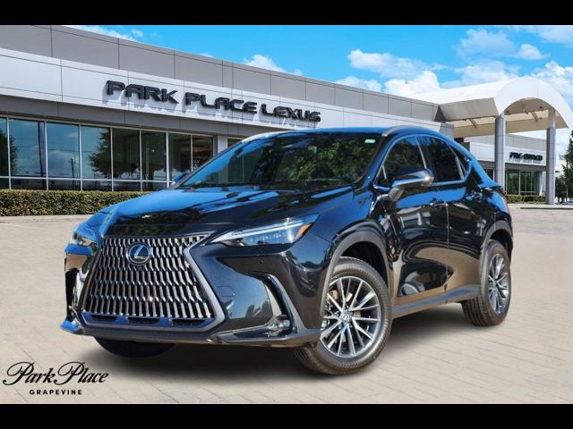 2025 Lexus NX 350 Luxury