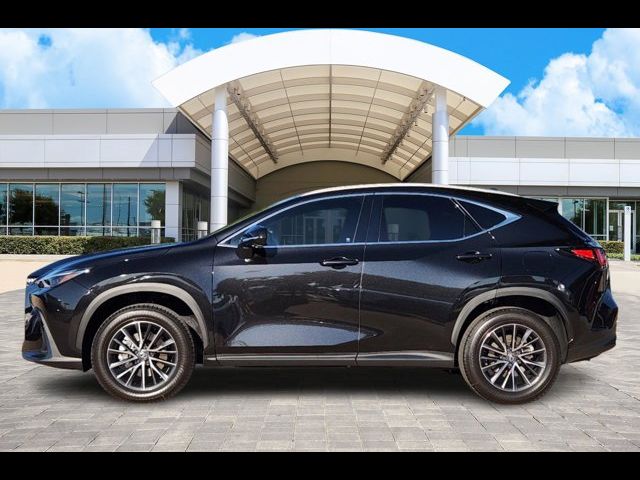 2025 Lexus NX 350 Luxury