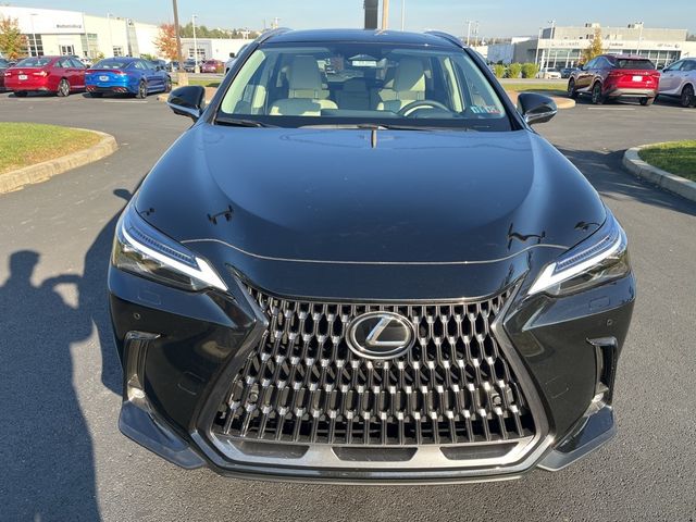 2025 Lexus NX 350 Luxury