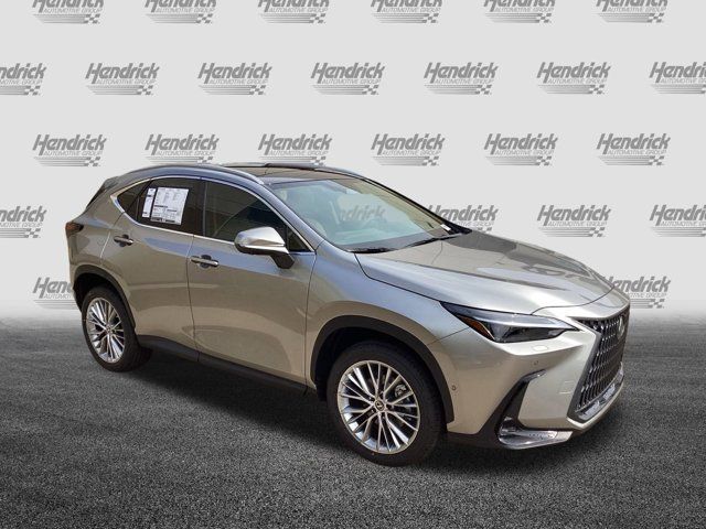 2025 Lexus NX 350 Luxury