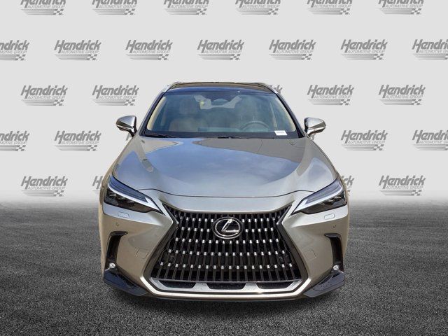 2025 Lexus NX 350 Luxury