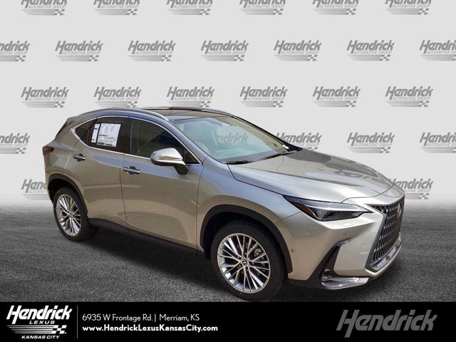 2025 Lexus NX 350 Luxury