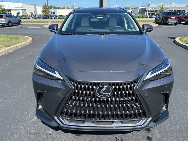 2025 Lexus NX 350 Luxury