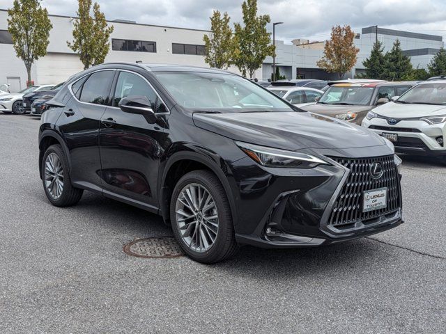 2025 Lexus NX 350 Luxury