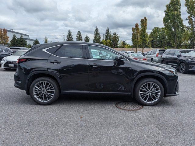 2025 Lexus NX 350 Luxury