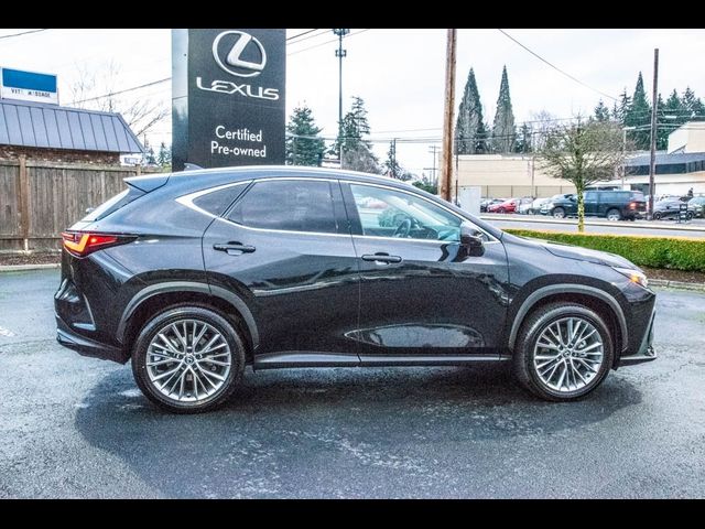 2025 Lexus NX 350 Luxury