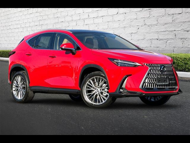 2025 Lexus NX 350 Luxury