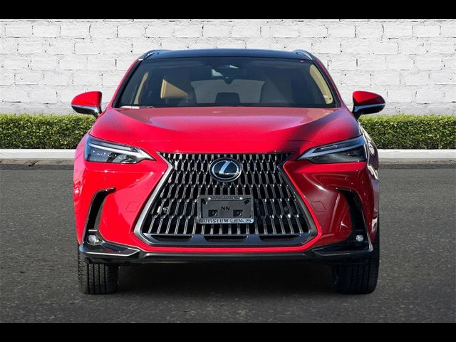 2025 Lexus NX 350 Luxury