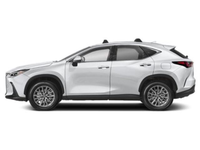 2025 Lexus NX 350 Luxury