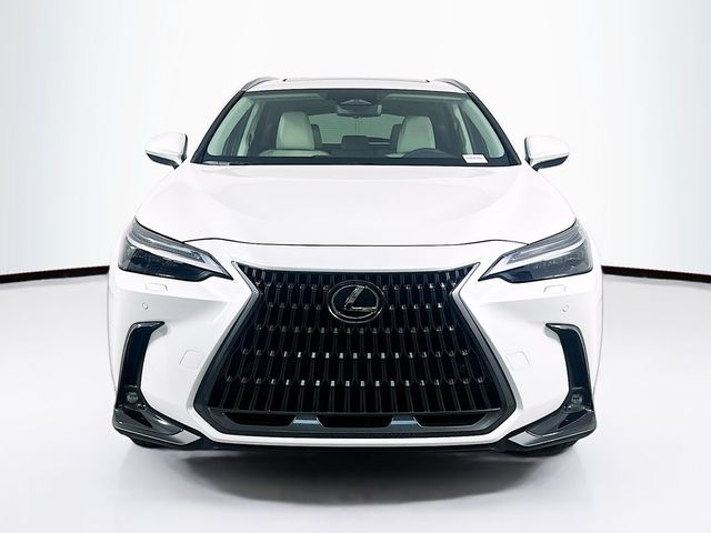 2025 Lexus NX 350 Luxury