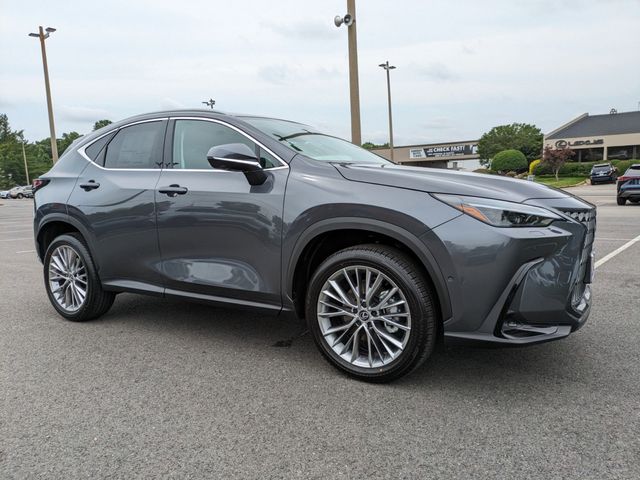 2025 Lexus NX 350 Luxury