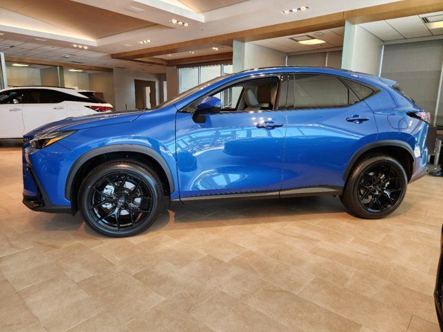 2025 Lexus NX 350 Luxury