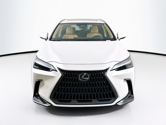 2025 Lexus NX 350 Luxury