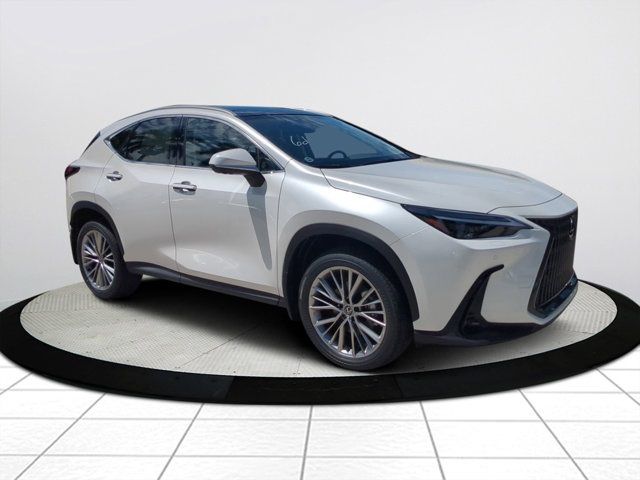 2025 Lexus NX 350 Luxury