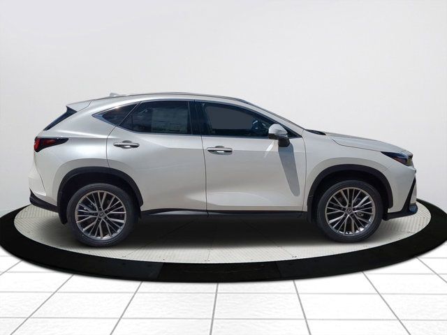 2025 Lexus NX 350 Luxury