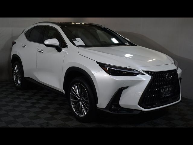 2025 Lexus NX 350 Luxury