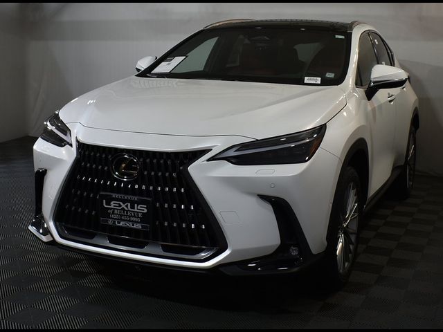 2025 Lexus NX 350 Luxury