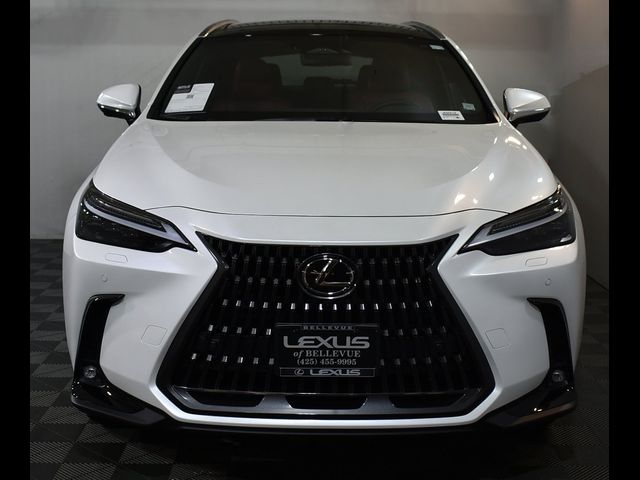 2025 Lexus NX 350 Luxury