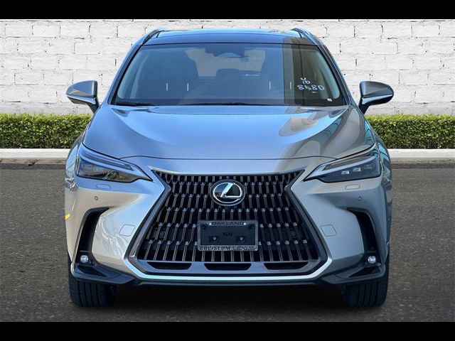 2025 Lexus NX 350 Luxury