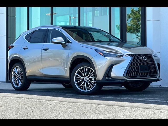 2025 Lexus NX 350 Luxury