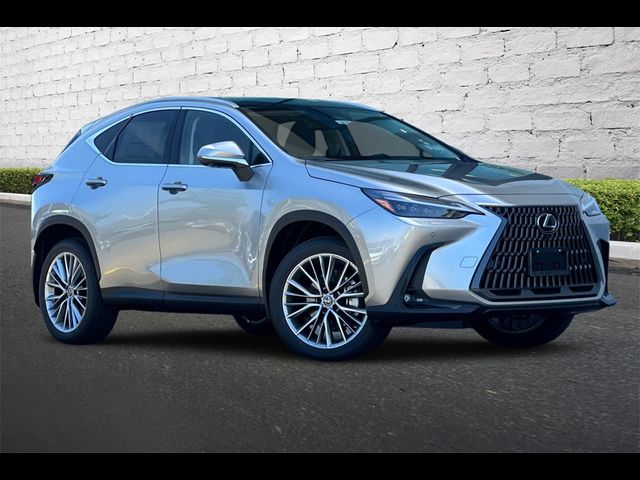 2025 Lexus NX 350 Luxury